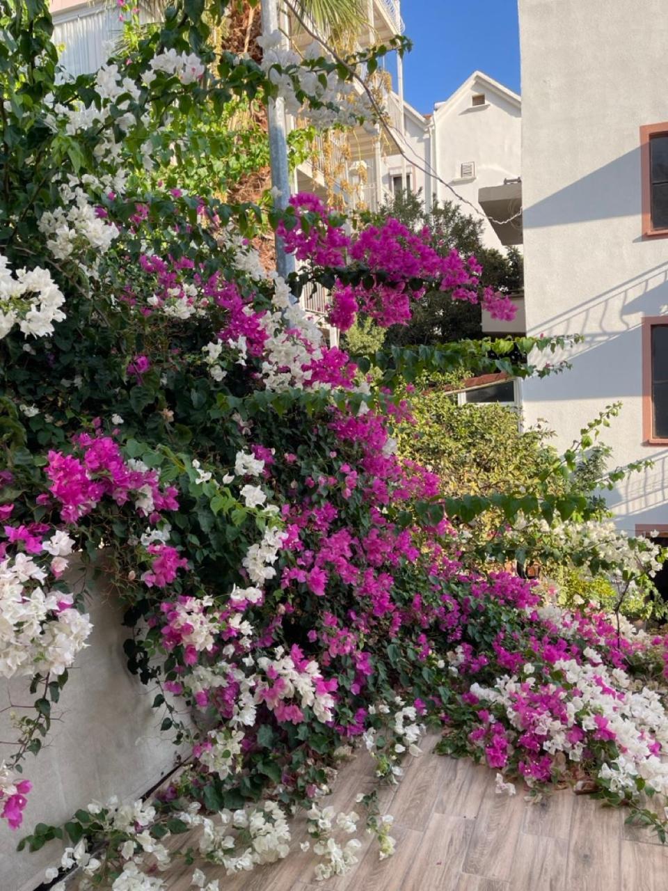Paydos Pansiyon Kaş Extérieur photo